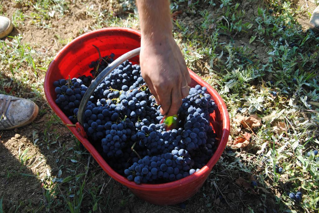 Vila La Rondanina Castelnuovo Fogliani Exteriér fotografie